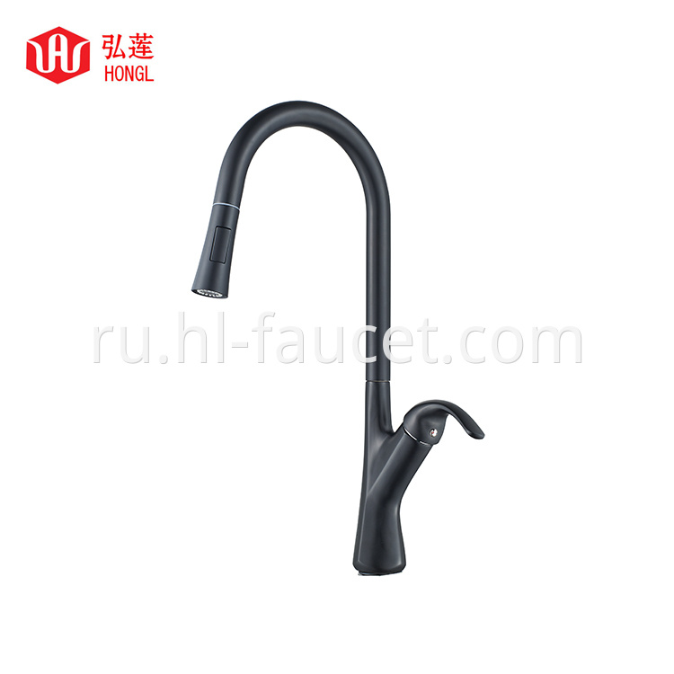Black Pull Down Kitchen Faucet